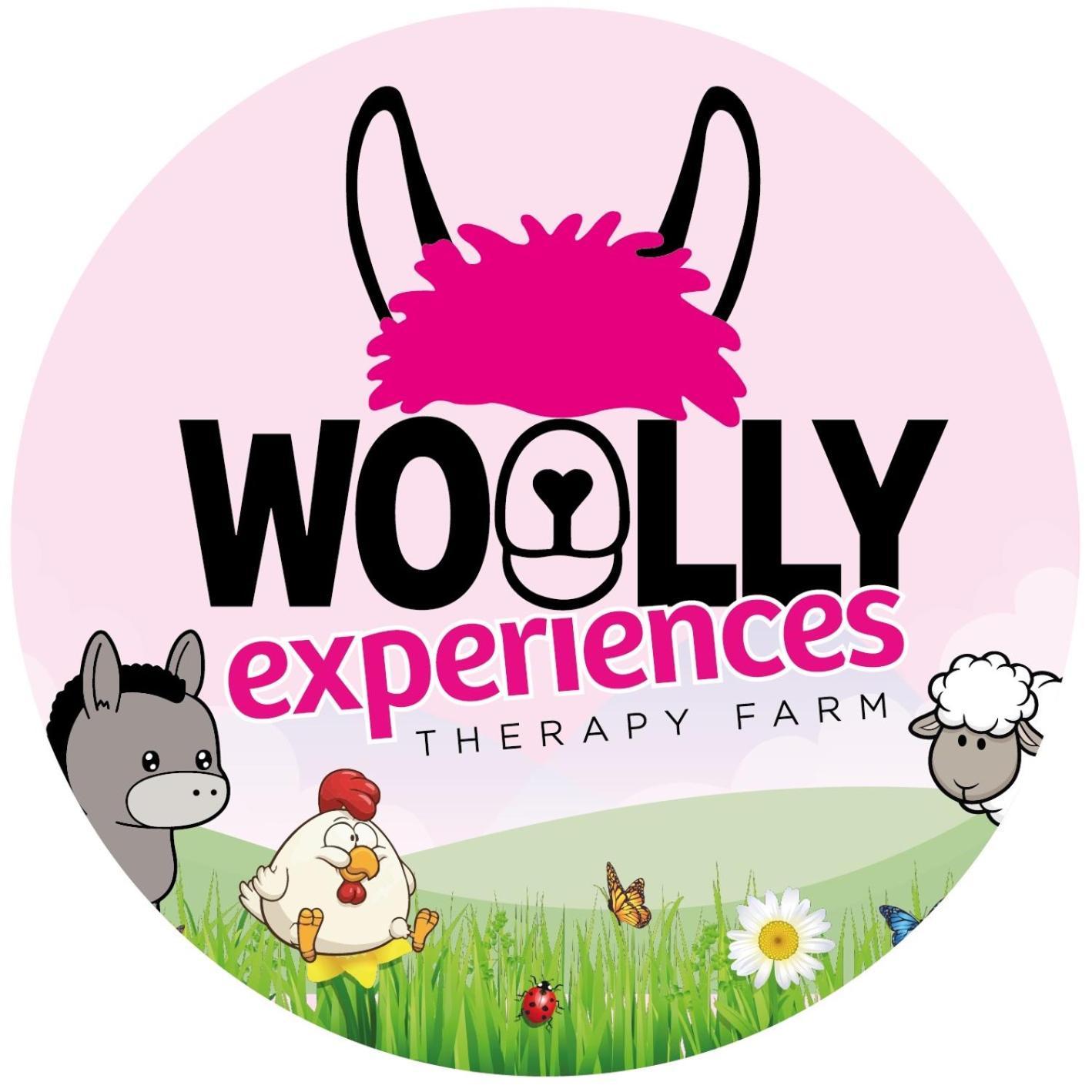 Unique Stay On An Alpaca Therapy Farm With Miniature Donkeys North Wales Mold Exteriér fotografie